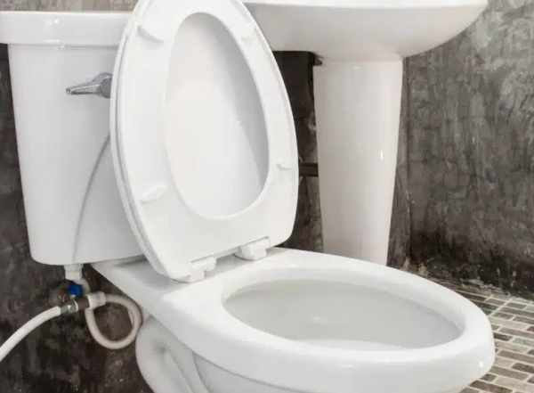 Popravka labavog poklopca WC daske