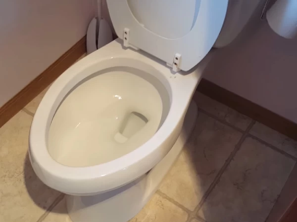 WC šolja zagušena štapićima za uši